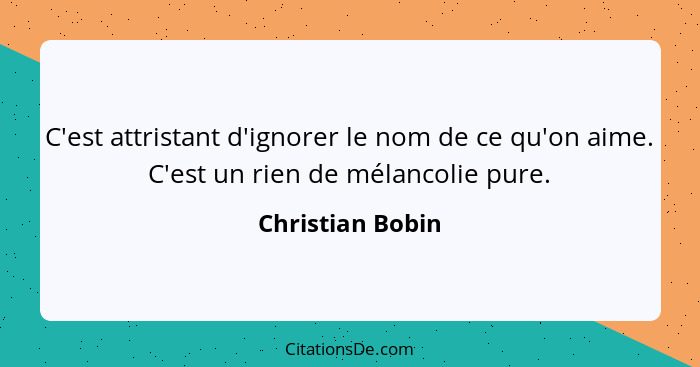 C'est attristant d'ignorer le nom de ce qu'on aime. C'est un rien de mélancolie pure.... - Christian Bobin