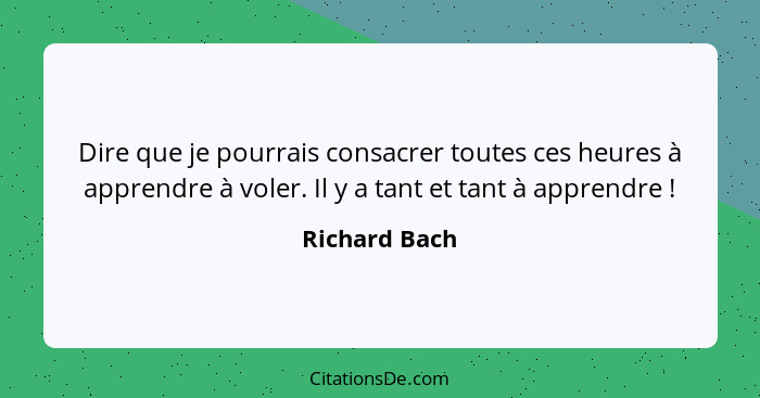 Dire que je pourrais consacrer toutes ces heures à apprendre à voler. Il y a tant et tant à apprendre !... - Richard Bach