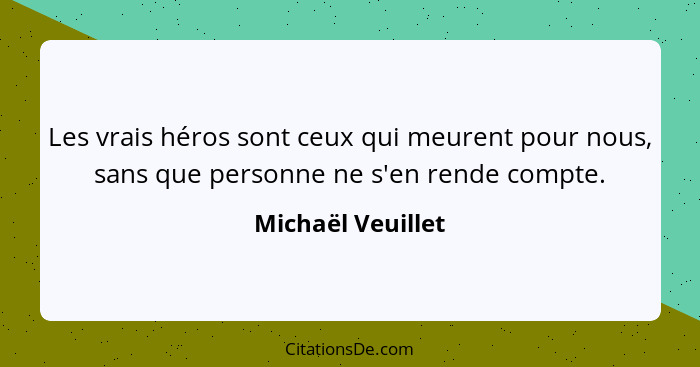 Les vrais héros sont ceux qui meurent pour nous, sans que personne ne s'en rende compte.... - Michaël Veuillet