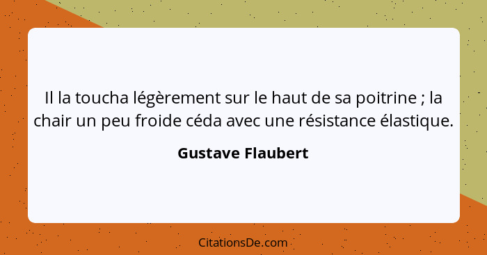 Il la toucha légèrement sur le haut de sa poitrine ; la chair un peu froide céda avec une résistance élastique.... - Gustave Flaubert