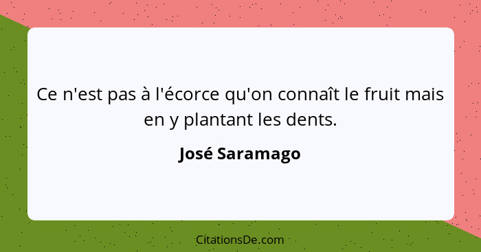 Ce n'est pas à l'écorce qu'on connaît le fruit mais en y plantant les dents.... - José Saramago