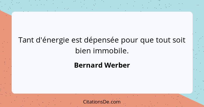 Tant d'énergie est dépensée pour que tout soit bien immobile.... - Bernard Werber