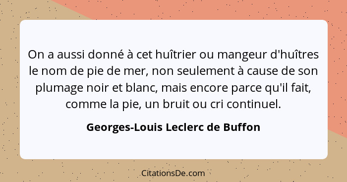 On a aussi donné à cet huîtrier ou mangeur d'huîtres le nom de pie de mer, non seulement à cause de son plumage noir... - Georges-Louis Leclerc de Buffon