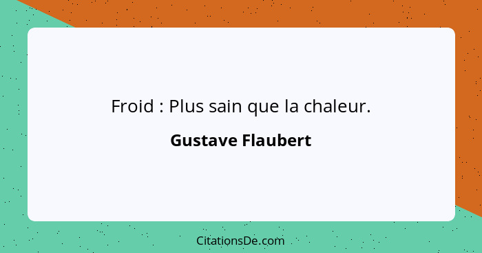 Froid : Plus sain que la chaleur.... - Gustave Flaubert