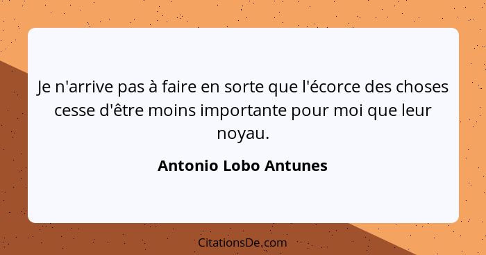 Je n'arrive pas à faire en sorte que l'écorce des choses cesse d'être moins importante pour moi que leur noyau.... - Antonio Lobo Antunes