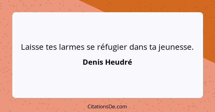 Laisse tes larmes se réfugier dans ta jeunesse.... - Denis Heudré