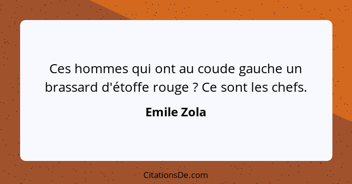 Ces hommes qui ont au coude gauche un brassard d'étoffe rouge ? Ce sont les chefs.... - Emile Zola