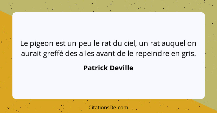 Le pigeon est un peu le rat du ciel, un rat auquel on aurait greffé des ailes avant de le repeindre en gris.... - Patrick Deville