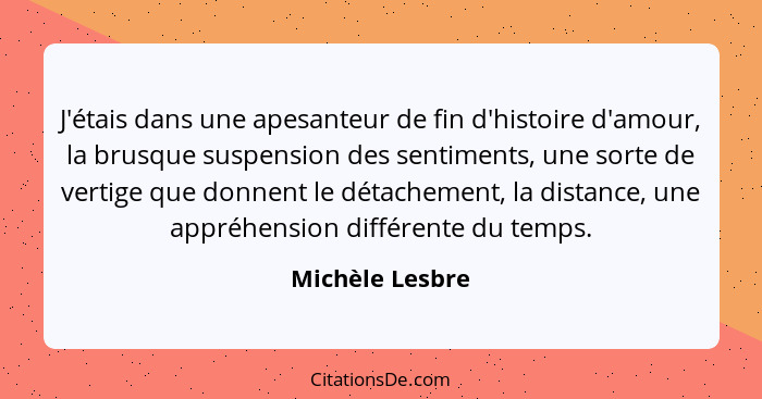 J'étais dans une apesanteur de fin d'histoire d'amour, la brusque suspension des sentiments, une sorte de vertige que donnent le déta... - Michèle Lesbre