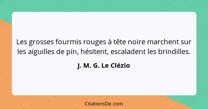 Les grosses fourmis rouges à tête noire marchent sur les aiguilles de pin, hésitent, escaladent les brindilles.... - J. M. G. Le Clézio