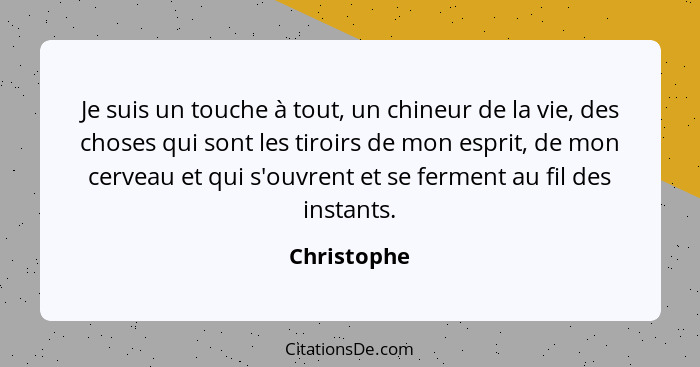 Je suis un touche à tout, un chineur de la vie, des choses qui sont les tiroirs de mon esprit, de mon cerveau et qui s'ouvrent et se ferm... - Christophe