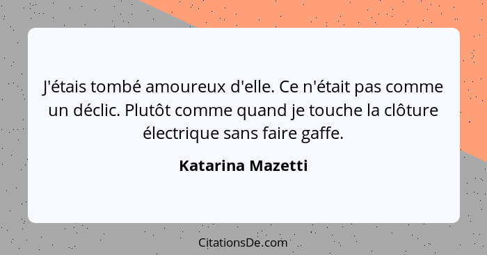 J'étais tombé amoureux d'elle. Ce n'était pas comme un déclic. Plutôt comme quand je touche la clôture électrique sans faire gaffe.... - Katarina Mazetti