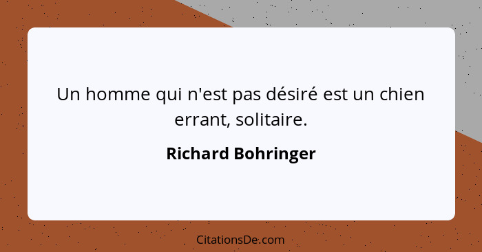 Un homme qui n'est pas désiré est un chien errant, solitaire.... - Richard Bohringer