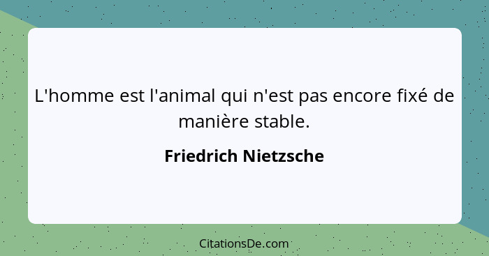 L'homme est l'animal qui n'est pas encore fixé de manière stable.... - Friedrich Nietzsche