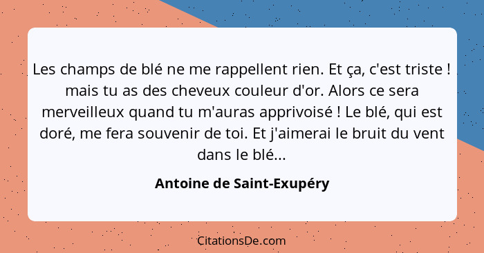 Les champs de blé ne me rappellent rien. Et ça, c'est triste ! mais tu as des cheveux couleur d'or. Alors ce sera merv... - Antoine de Saint-Exupéry