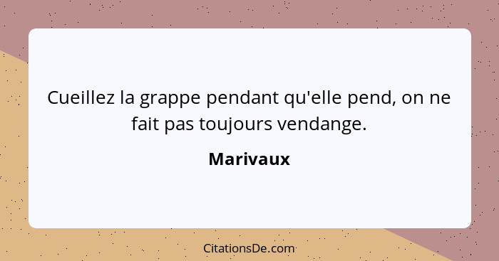 Cueillez la grappe pendant qu'elle pend, on ne fait pas toujours vendange.... - Marivaux