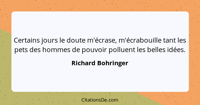 Certains jours le doute m'écrase, m'écrabouille tant les pets des hommes de pouvoir polluent les belles idées.... - Richard Bohringer