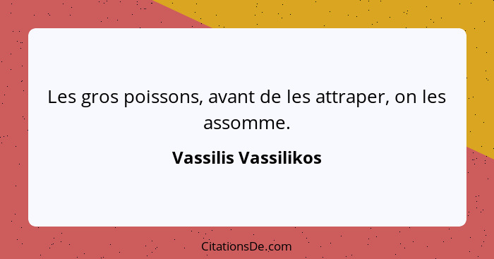 Les gros poissons, avant de les attraper, on les assomme.... - Vassilis Vassilikos