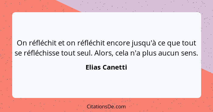 On réfléchit et on réfléchit encore jusqu'à ce que tout se réfléchisse tout seul. Alors, cela n'a plus aucun sens.... - Elias Canetti