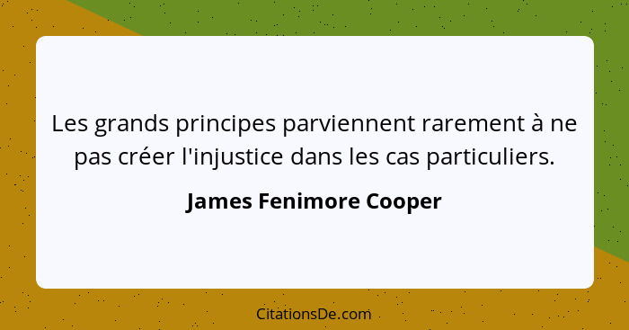Les grands principes parviennent rarement à ne pas créer l'injustice dans les cas particuliers.... - James Fenimore Cooper
