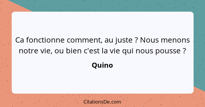 Ca fonctionne comment, au juste ? Nous menons notre vie, ou bien c'est la vie qui nous pousse ?... - Quino