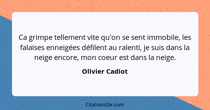 Ca grimpe tellement vite qu'on se sent immobile, les falaises enneigées défilent au ralenti, je suis dans la neige encore, mon coeur... - Olivier Cadiot