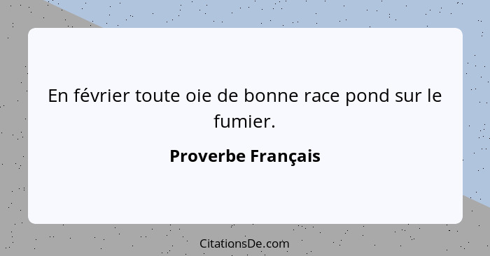 En février toute oie de bonne race pond sur le fumier.... - Proverbe Français