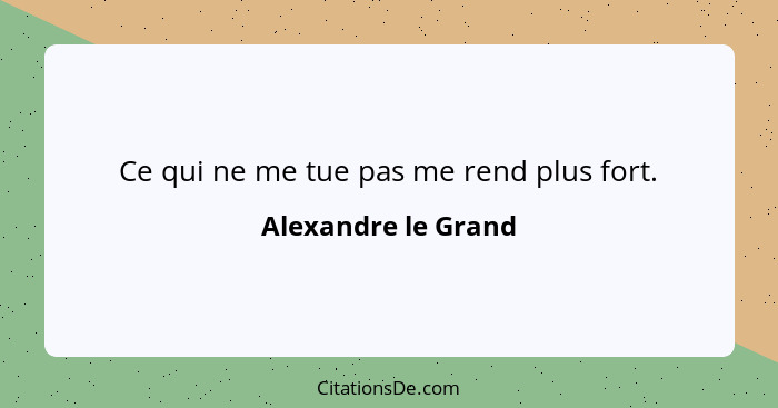 Ce qui ne me tue pas me rend plus fort.... - Alexandre le Grand