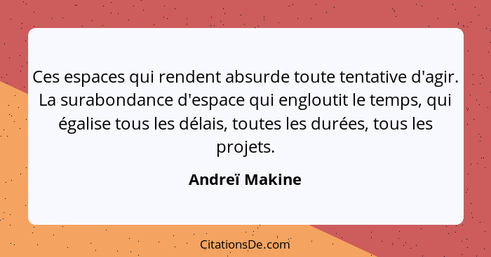 Ces espaces qui rendent absurde toute tentative d'agir. La surabondance d'espace qui engloutit le temps, qui égalise tous les délais,... - Andreï Makine