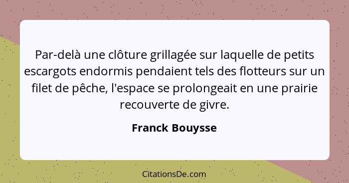 Par-delà une clôture grillagée sur laquelle de petits escargots endormis pendaient tels des flotteurs sur un filet de pêche, l'espace... - Franck Bouysse