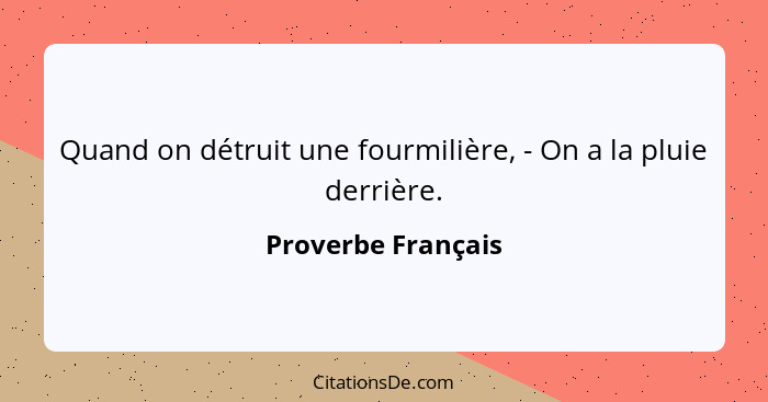 Quand on détruit une fourmilière, - On a la pluie derrière.... - Proverbe Français