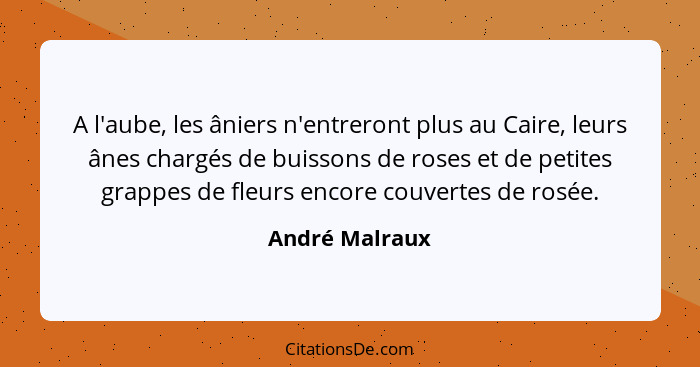 A l'aube, les âniers n'entreront plus au Caire, leurs ânes chargés de buissons de roses et de petites grappes de fleurs encore couvert... - André Malraux