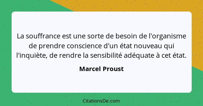 La souffrance est une sorte de besoin de l'organisme de prendre conscience d'un état nouveau qui l'inquiète, de rendre la sensibilité... - Marcel Proust