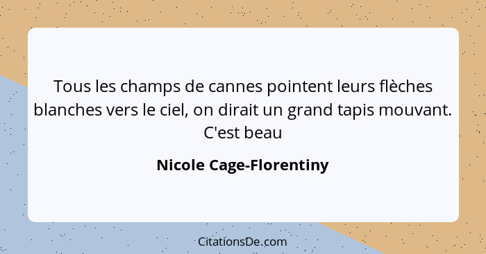 Tous les champs de cannes pointent leurs flèches blanches vers le ciel, on dirait un grand tapis mouvant. C'est beau... - Nicole Cage-Florentiny