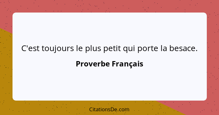 C'est toujours le plus petit qui porte la besace.... - Proverbe Français