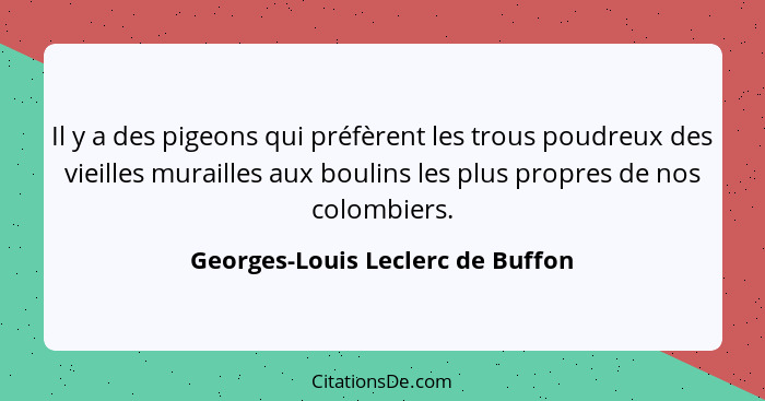 Il y a des pigeons qui préfèrent les trous poudreux des vieilles murailles aux boulins les plus propres de nos colom... - Georges-Louis Leclerc de Buffon