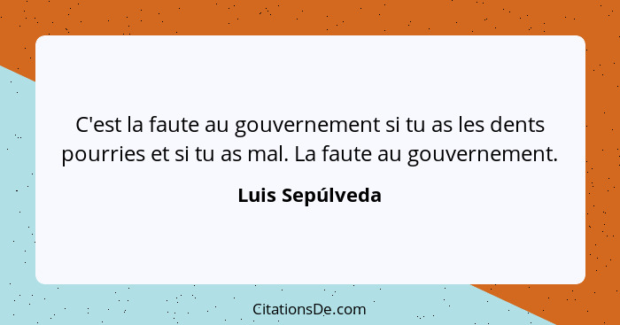 C'est la faute au gouvernement si tu as les dents pourries et si tu as mal. La faute au gouvernement.... - Luis Sepúlveda