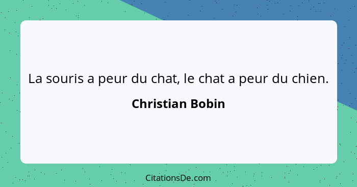 La souris a peur du chat, le chat a peur du chien.... - Christian Bobin