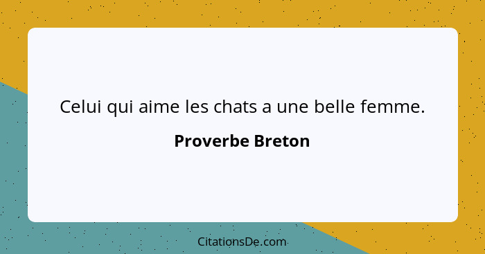 Celui qui aime les chats a une belle femme.... - Proverbe Breton