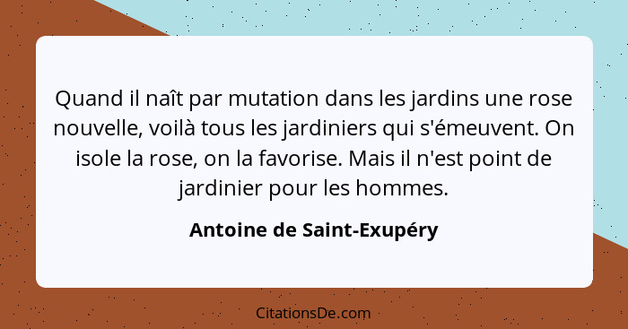 Quand il naît par mutation dans les jardins une rose nouvelle, voilà tous les jardiniers qui s'émeuvent. On isole la rose,... - Antoine de Saint-Exupéry