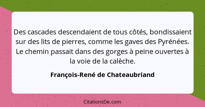 Des cascades descendaient de tous côtés, bondissaient sur des lits de pierres, comme les gaves des Pyrénées. Le chemi... - François-René de Chateaubriand