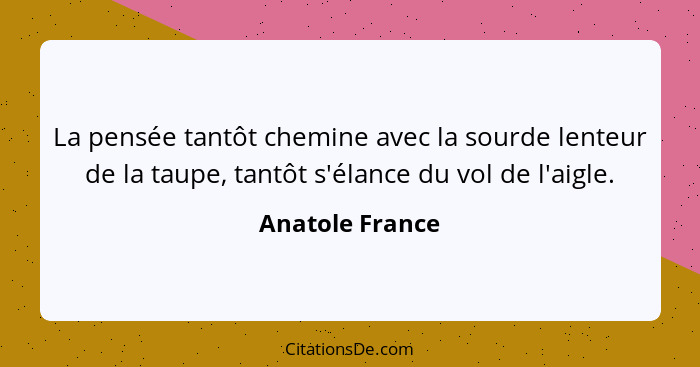 La pensée tantôt chemine avec la sourde lenteur de la taupe, tantôt s'élance du vol de l'aigle.... - Anatole France