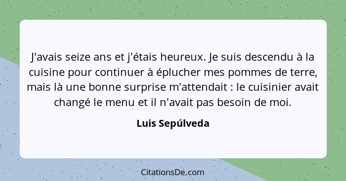 J'avais seize ans et j'étais heureux. Je suis descendu à la cuisine pour continuer à éplucher mes pommes de terre, mais là une bonne... - Luis Sepúlveda