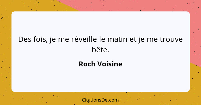 Des fois, je me réveille le matin et je me trouve bête.... - Roch Voisine