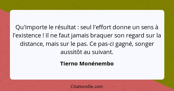 Qu'importe le résultat : seul l'effort donne un sens à l'existence ! Il ne faut jamais braquer son regard sur la distance... - Tierno Monénembo