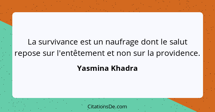 La survivance est un naufrage dont le salut repose sur l'entêtement et non sur la providence.... - Yasmina Khadra