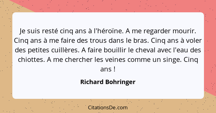 Je suis resté cinq ans à l'héroïne. A me regarder mourir. Cinq ans à me faire des trous dans le bras. Cinq ans à voler des petites... - Richard Bohringer