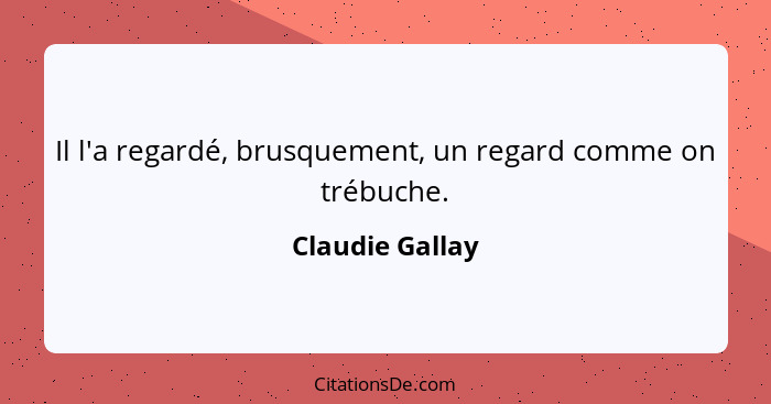 Il l'a regardé, brusquement, un regard comme on trébuche.... - Claudie Gallay