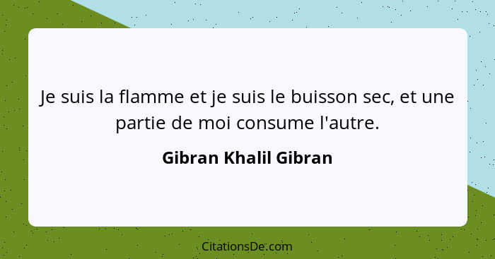 Je suis la flamme et je suis le buisson sec, et une partie de moi consume l'autre.... - Gibran Khalil Gibran