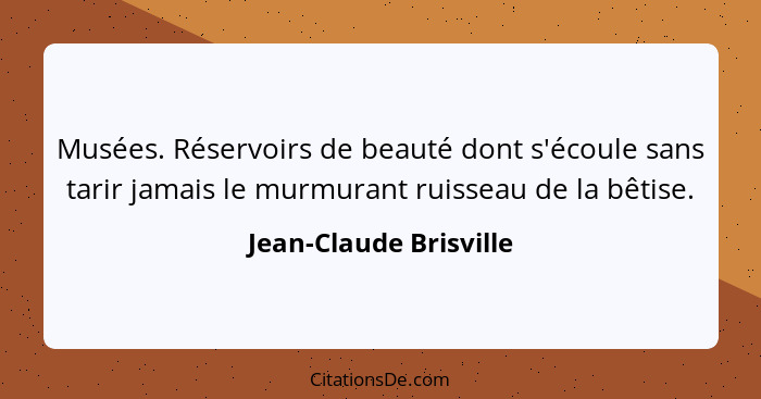 Musées. Réservoirs de beauté dont s'écoule sans tarir jamais le murmurant ruisseau de la bêtise.... - Jean-Claude Brisville